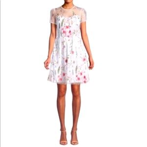 🎉Host Pick🎉NWT Walter Baker Embroidered Mesh Dress size 6